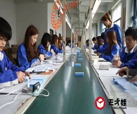 梅州胡巴機(jī)器人廠 免費(fèi)咨詢